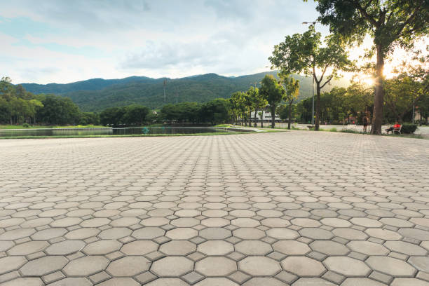 Best Concrete Paver Driveway  in Elkader, IA